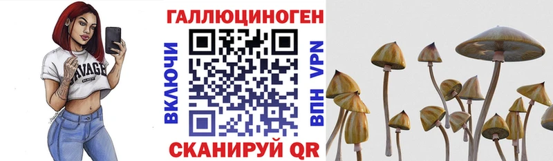 Галлюциногенные грибы мицелий  цена наркотик  Татарск 